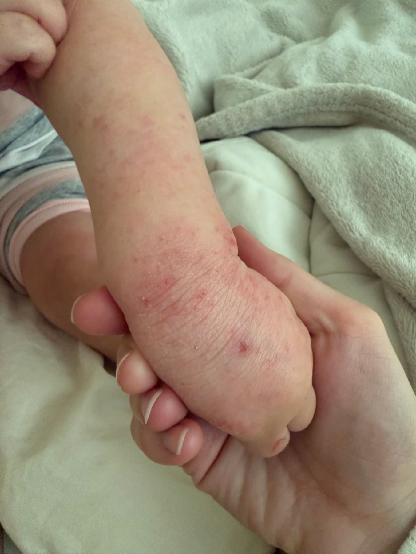 timeline — Week 4