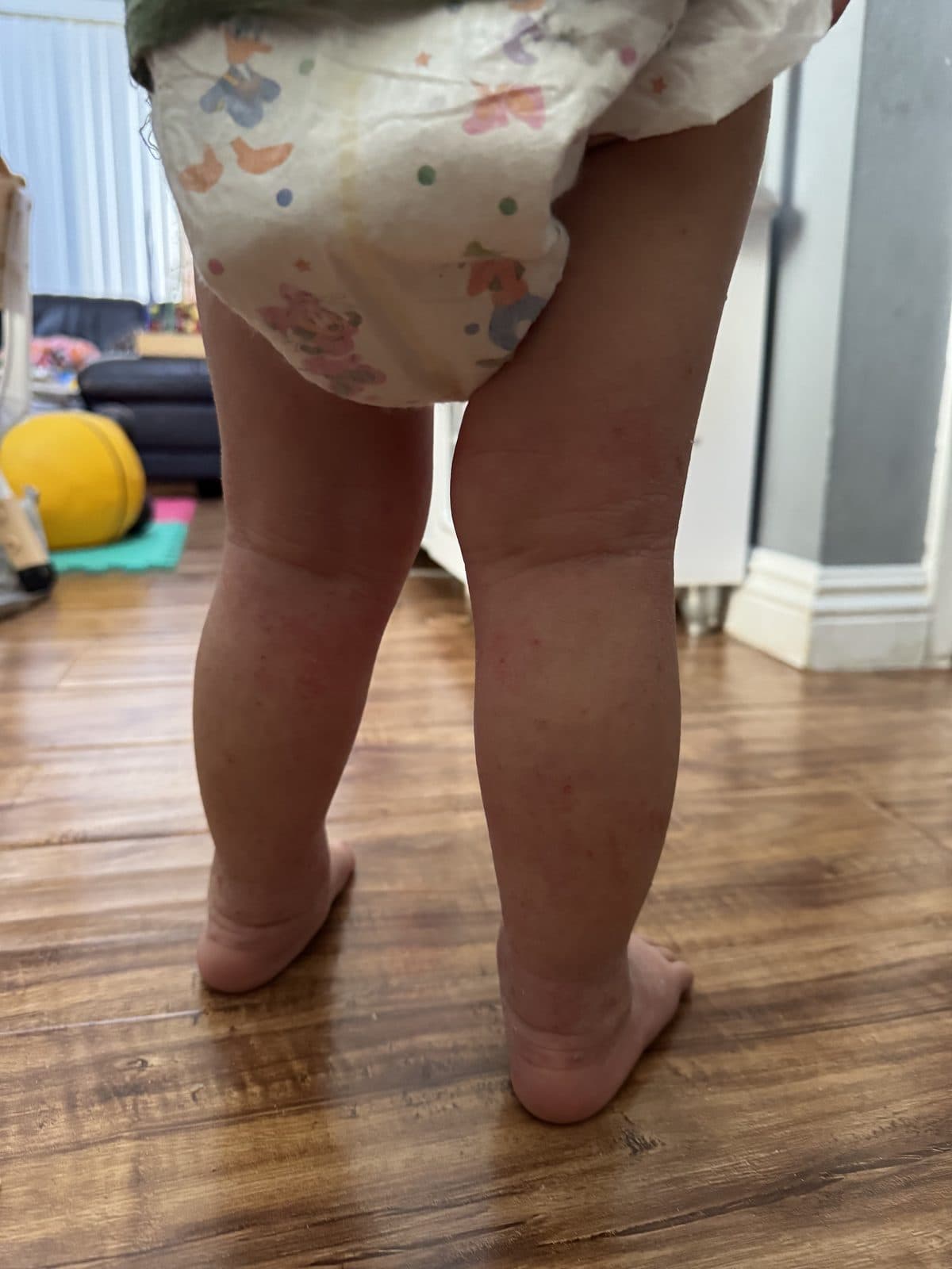 timeline — Week 2