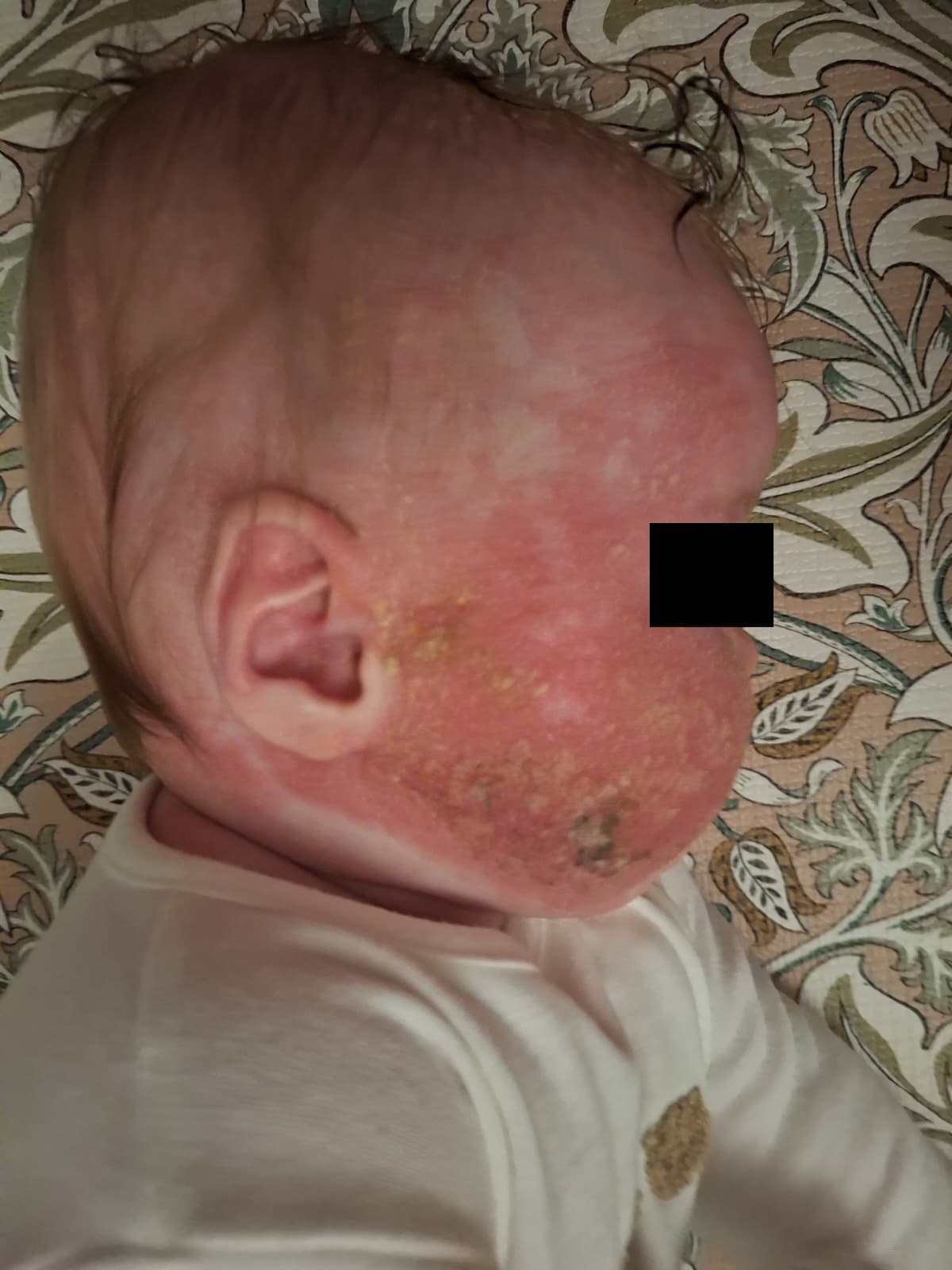 timeline — Week 0
