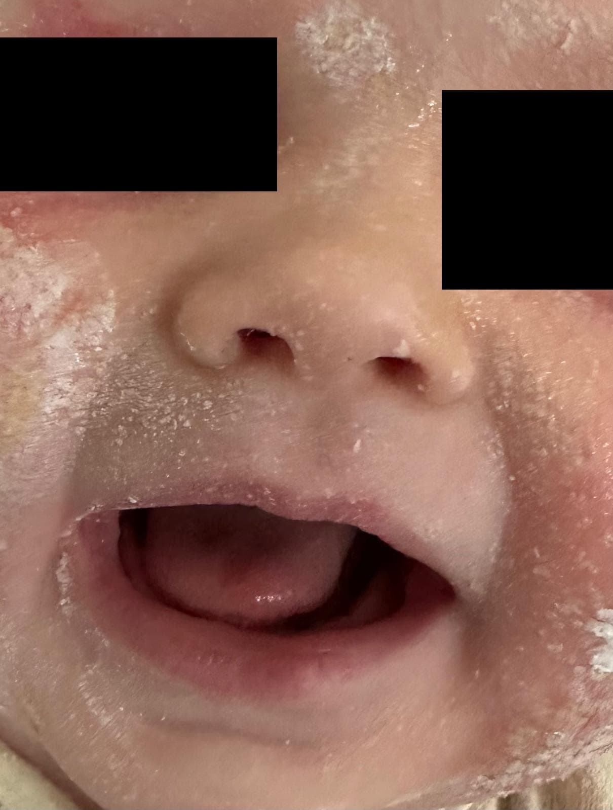 timeline — Week 0