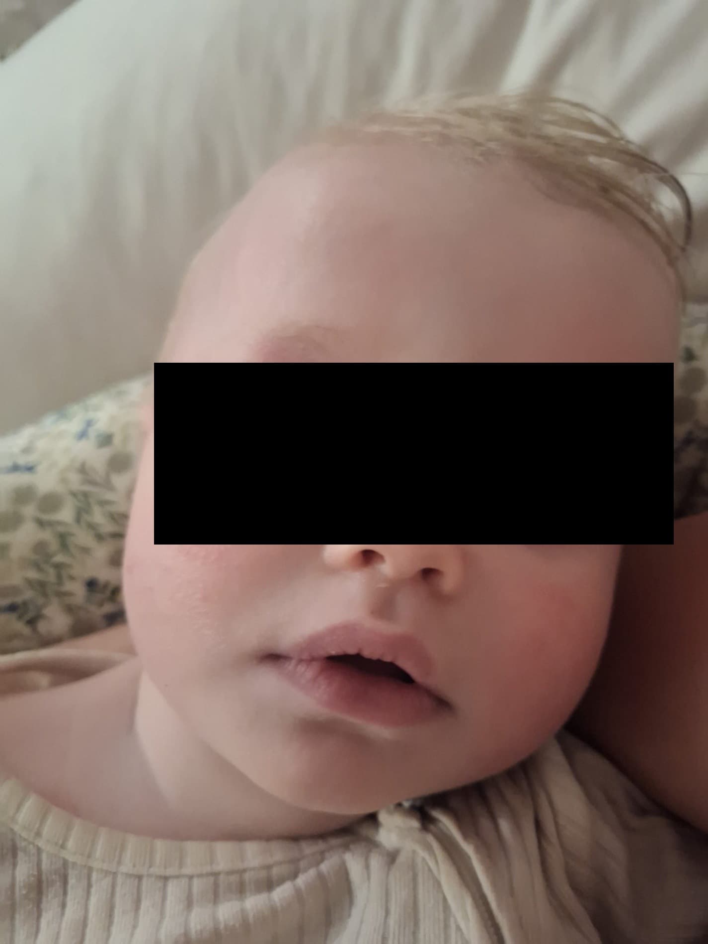 Poppy most recent photo