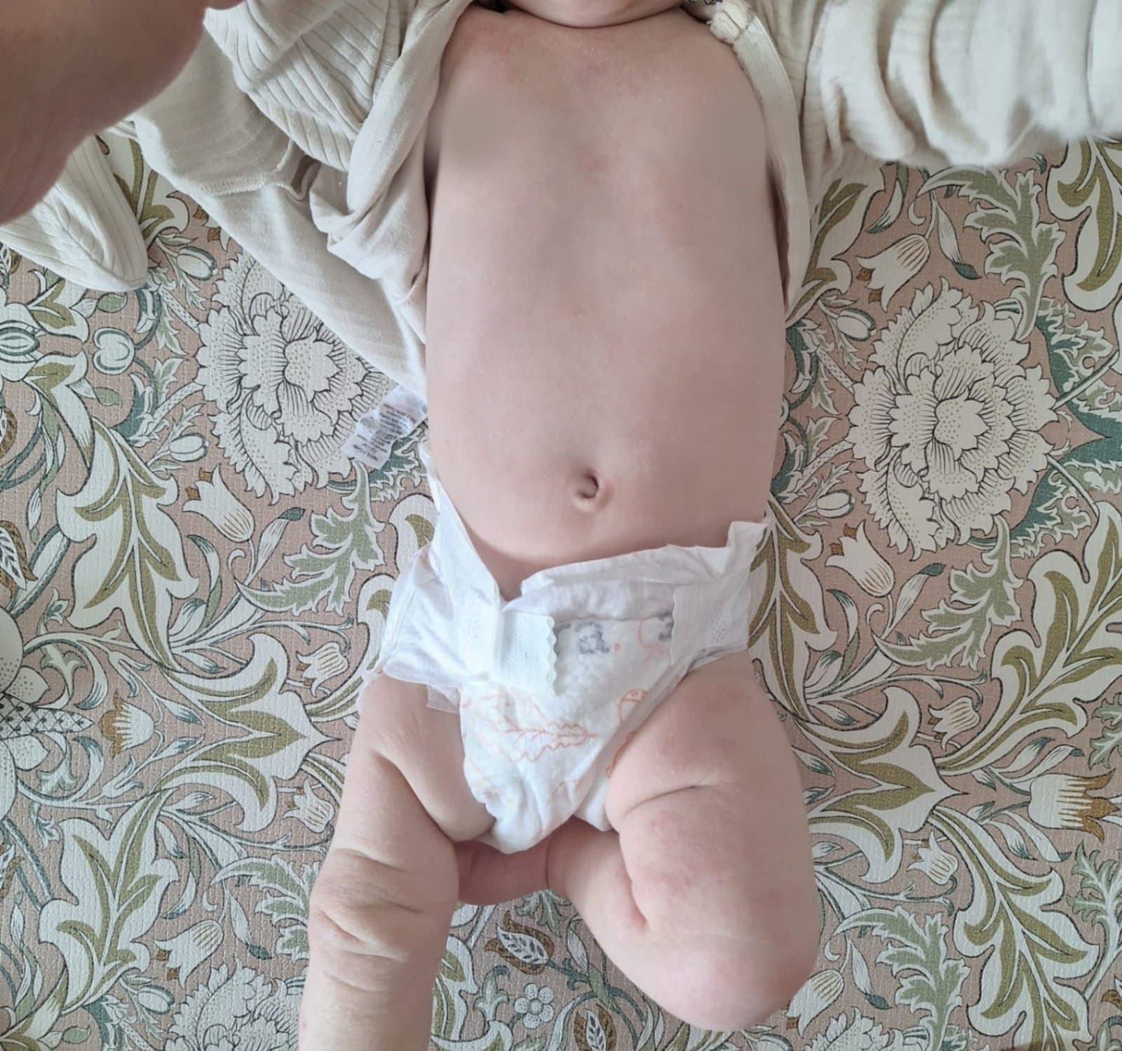 Poppy after — day 133 · week 19