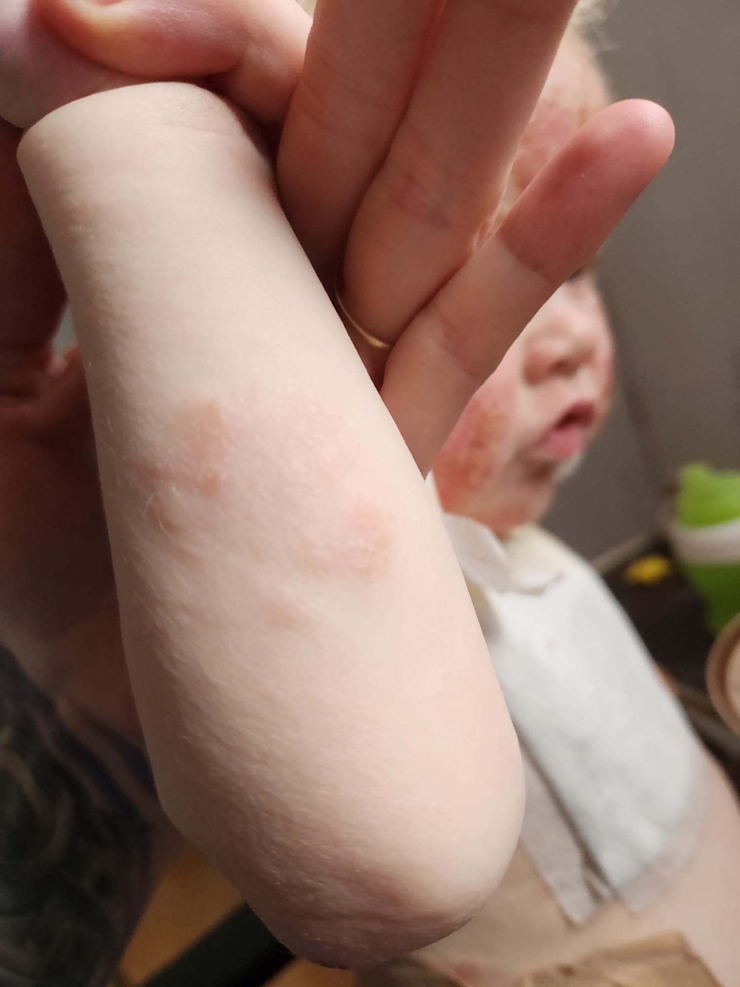 timeline — Week 7