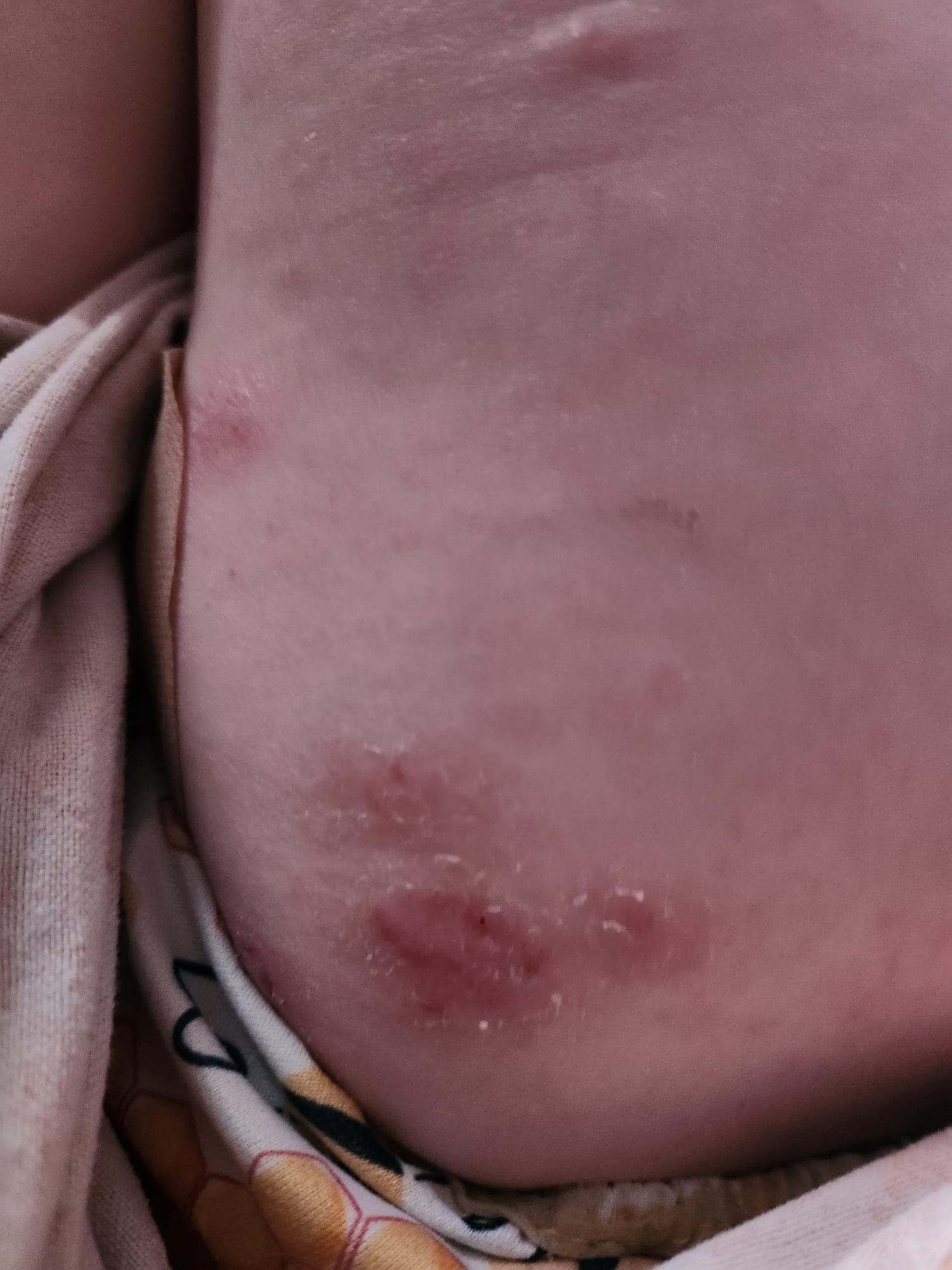 timeline — Week 8