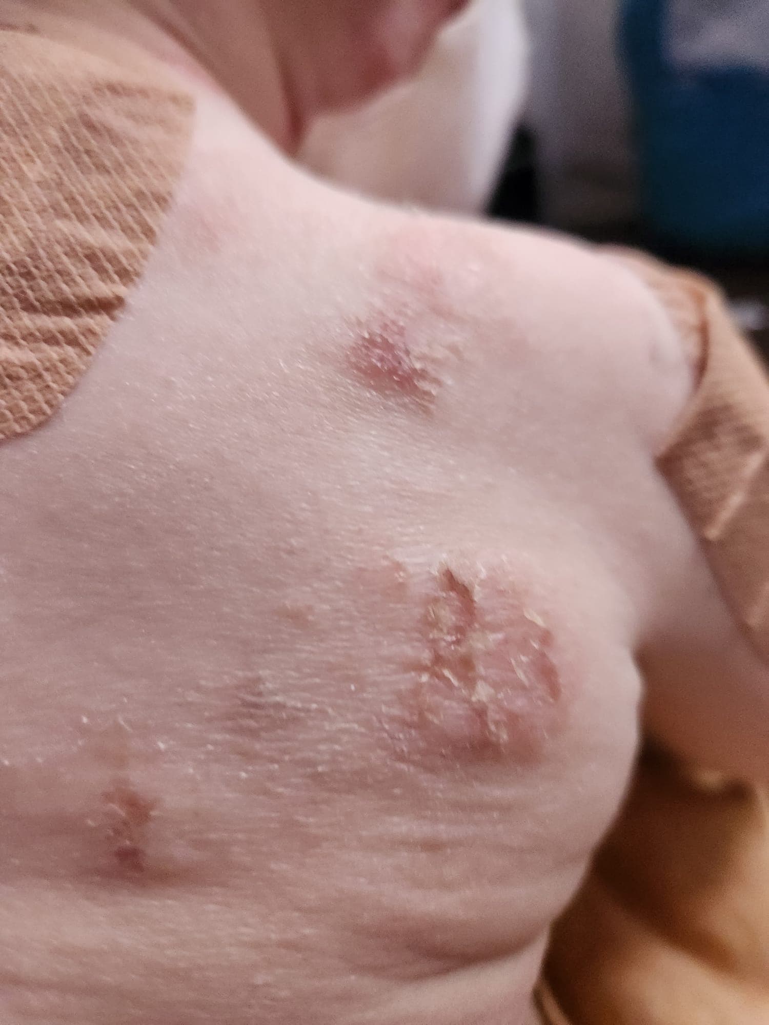 timeline — Week 8